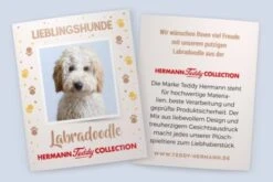 Teddy-Hermann Labradoodle Sitzend, 28 Cm -Teddy Hermann 15910362 03