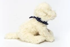 Teddy-Hermann Labradoodle Sitzend, 28 Cm -Teddy Hermann 15910362 04