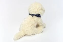 Teddy-Hermann Labradoodle Sitzend, 28 Cm -Teddy Hermann 15910362 05