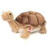 HERMANN TEDDY 901556 Riesenschildkröte 50 Cm 1 HERMANN TEDDY 901556 Riesenschildkröte 50 Cm -Teddy Hermann hermann teddy 901556 riesenschildkrote 50 cm