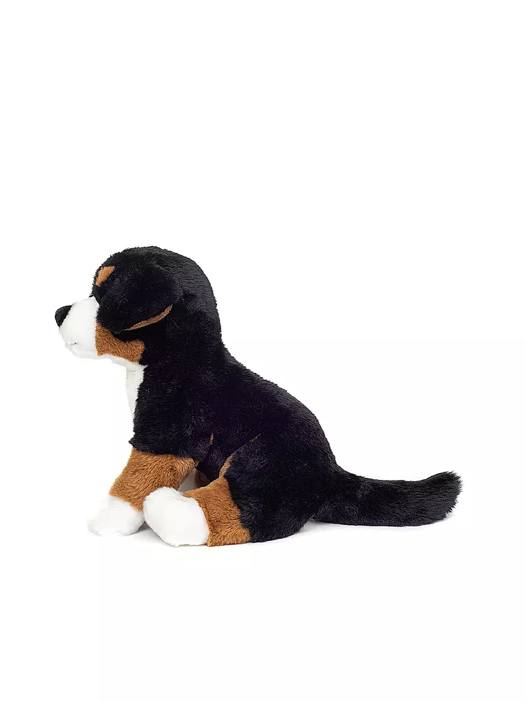 HERMANN TEDDY, Plüschtier - Berner Sennenhund Sitzend 26cm 4 HERMANN TEDDY, Plüschtier - Berner Sennenhund Sitzend 26cm – Bild 2