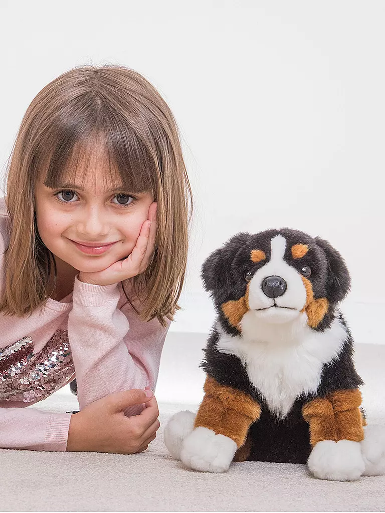 HERMANN TEDDY, Plüschtier - Berner Sennenhund Sitzend 29cm 4 HERMANN TEDDY, Plüschtier - Berner Sennenhund Sitzend 29cm – Bild 2