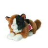 HERMANN TEDDY, Plüschtier - Glückskatze Liegend 20cm 1 HERMANN TEDDY, Plüschtier - Glückskatze Liegend 20cm -Teddy Hermann hermannteddy plC3BCschtier glC3BCckskatzeliegend20cm 1 768 1024 75 7529839 1