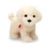 HERMANN TEDDY, Plüschtier - Malteser Stehend 23cm 2 HERMANN TEDDY, Plüschtier - Malteser Stehend 23cm -Teddy Hermann hermannteddy plC3BCschtier malteserstehend23cm 1 768 1024 75 7472613 1