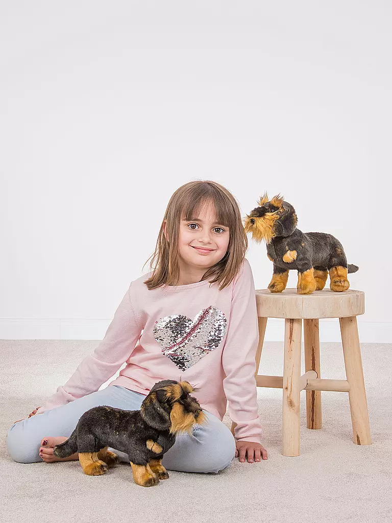 HERMANN TEDDY, Plüschtier - Rauhaardackel Stehend 28cm 4 HERMANN TEDDY, Plüschtier - Rauhaardackel Stehend 28cm – Bild 2