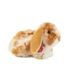 HERMANN TEDDY, Plüschtier - Widderkaninchen 23cm -Teddy Hermann hermannteddy plC3BCschtier widderkaninchen23cm 1 768 1024 75 7583995 1