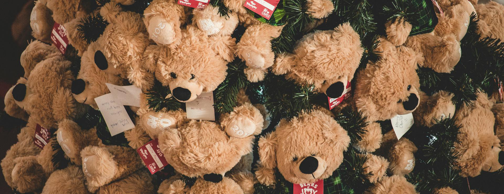 Teddy Hermann 2 Teddy Hermann -Teddy Hermann pexels muffin 1705287